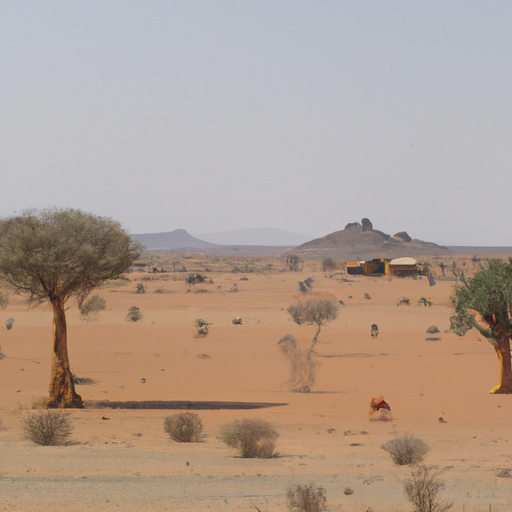 Dokumentation der Tierwelt Afrikas